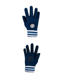 Winter glove-blue [pair]